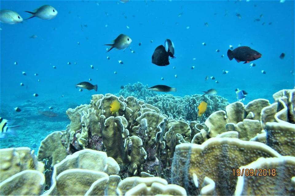 Pulau Weh Paradise Сабанґ Екстер'єр фото