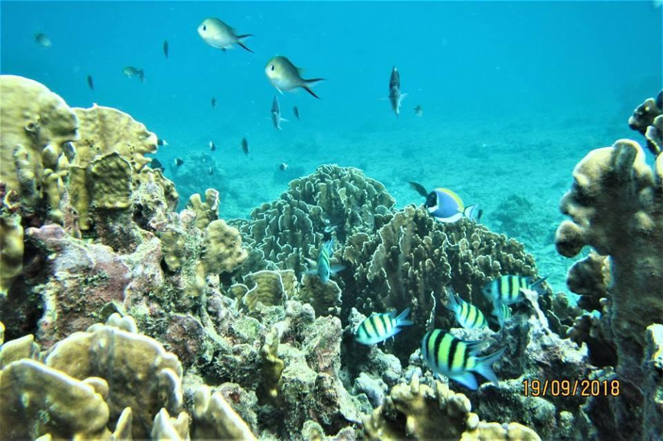 Pulau Weh Paradise Сабанґ Екстер'єр фото